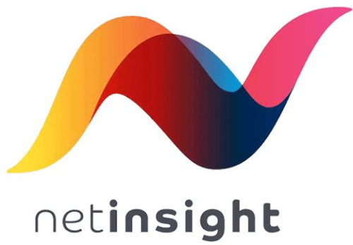 NetInsight Logo